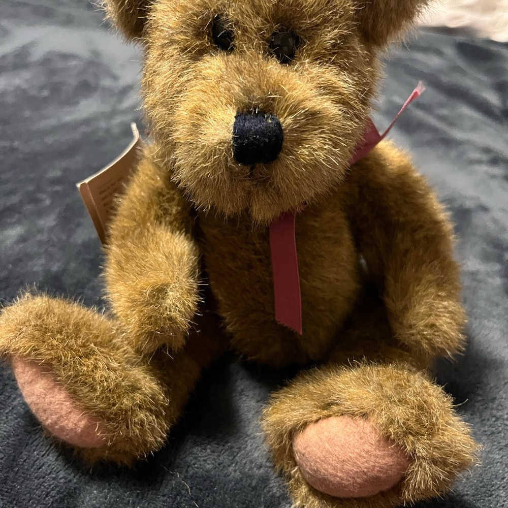 Fuzzy brown Boyds bear